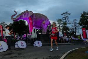 BIB: 
                            <button type="button" onclick="openModal(26529608)" class="btn btn-primary btn-sm float-right btn-popup" data-toggle="modal" data-target=".modal-high-quality">
                        <i class="fas fa-shopping-cart"></i> Add to Cart
                    </button>
                                            <button type="button" onclick="isThisMe(26529608, true)" class="btn btn-success btn-sm float-right btn-popup btn-isme hidden" data-toggle="tooltip" data-placement="bottom" title="นี่คือรูปของคุณใช่ไหม คลิกที่นี่เพื่อเอาเข้าอัลบั้ม">
                        <i class="fas fa-plus"></i> Add to album
                    </button>
                    <button type="button" onclick="isThisMe(26529608, false)" class="btn btn-warning btn-sm float-right btn-popup btn-isnotme hidden">
                        <i class="fas fa-ban"></i> Remove from album
                    </button>